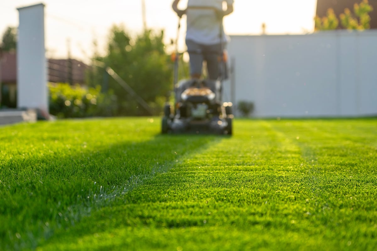 Green grass being cut with a lawn mower in a home garden